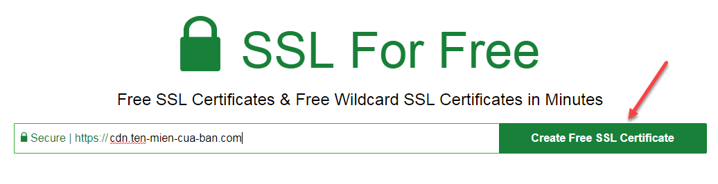 nhập tên miền muốn tạo chứng chỉ SSL